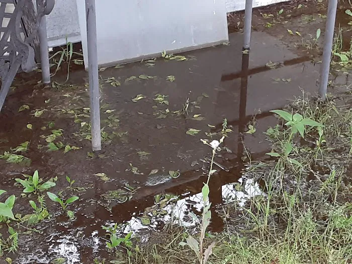 Lavega Mobile Home Estates #2 Picture 6