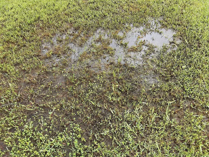 Lavega Mobile Home Estates #2 Picture 4