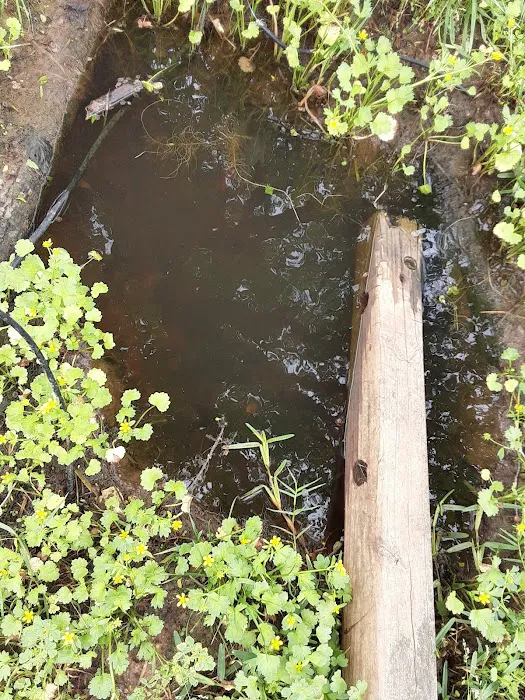 Lavega Mobile Home Estates #2 Picture 10