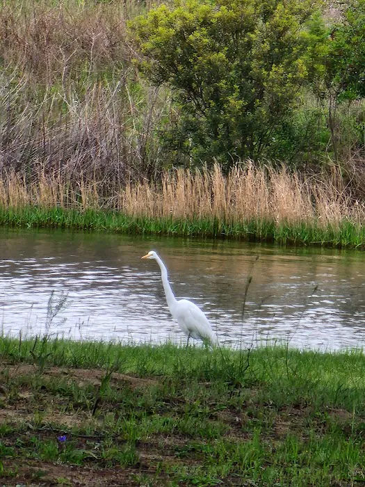 Indian Woods Campground Picture 4