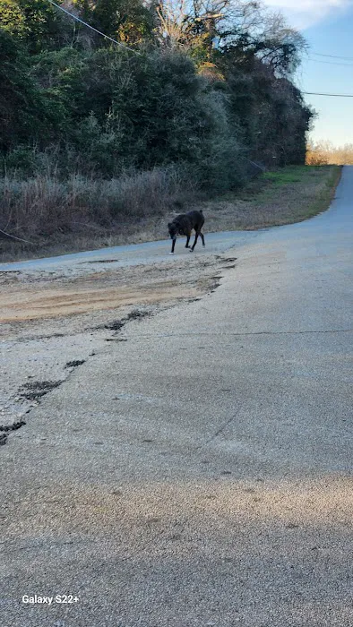 Indian Woods Campground Picture 10