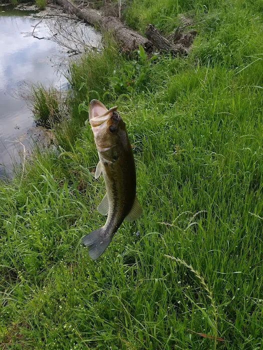 Yellow Rose RV Park Picture 7