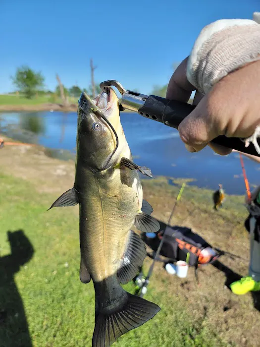 Yellow Rose RV Park Picture 8