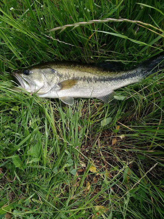 Yellow Rose RV Park Picture 10