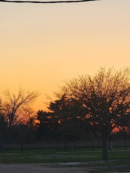 Yellow Rose RV Park Picture 9