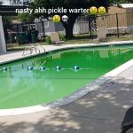 Wintergreen Terrace Mobile Prk