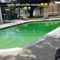 Wintergreen Terrace Mobile Prk ico