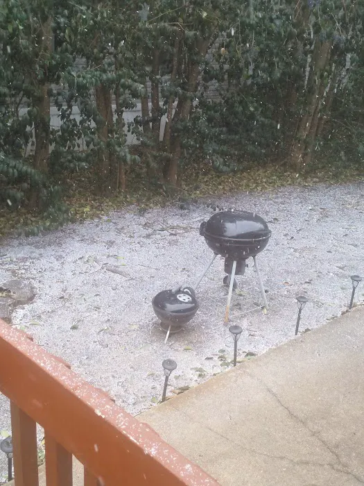 Wintergreen Terrace Mobile Prk Picture 6