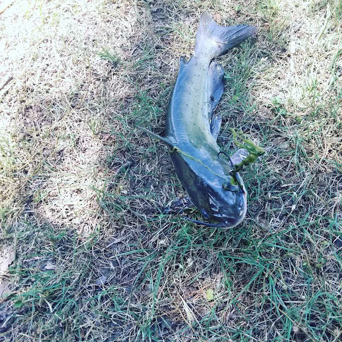 Wintergreen Terrace Mobile Prk Picture 9