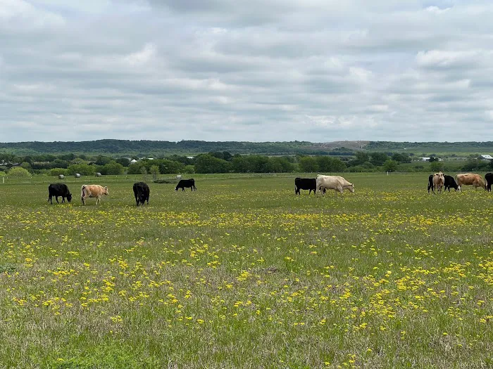 Big Country RV Park Picture 1