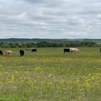 Big Country RV Park ico