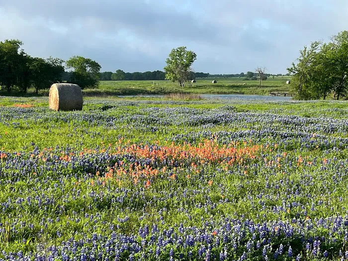 Big Country RV Park Picture 3