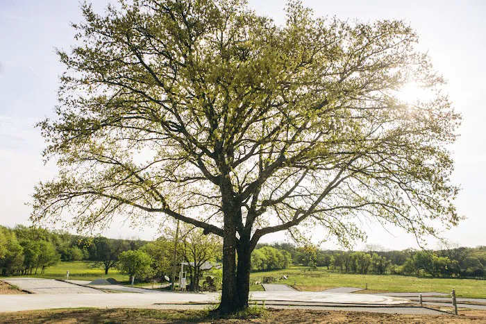 Haven RV Park Picture 9