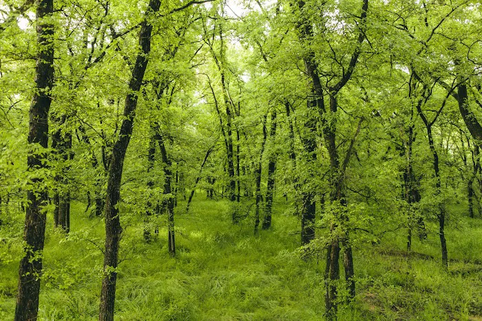 Haven RV Park Picture 7