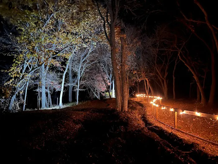 City Limits RV Resort Picture 1