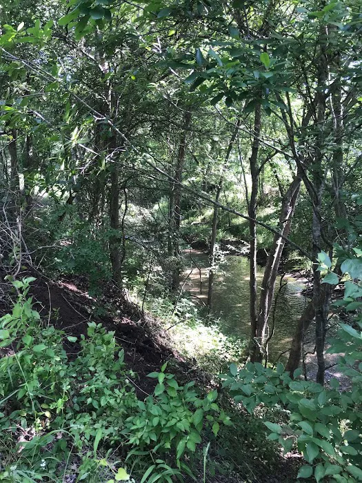 City Limits RV Resort Picture 6