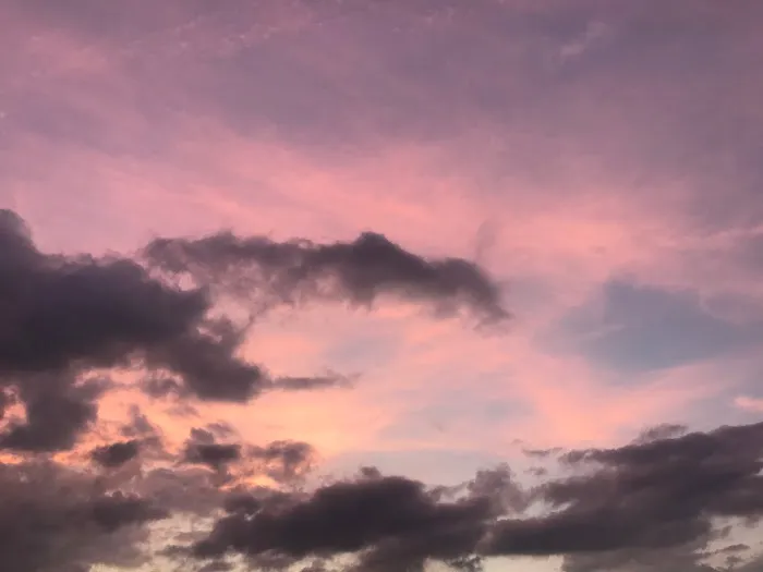 City Limits RV Resort Picture 7