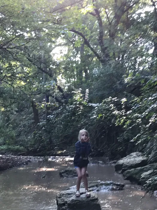 City Limits RV Resort Picture 4