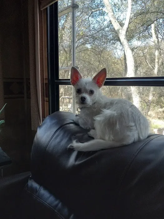 Dodge City RV Park Picture 7