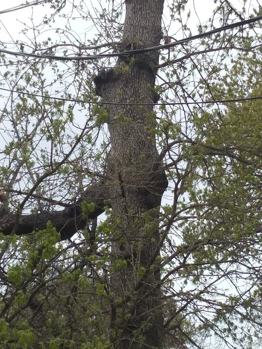 Breezy Oaks Manufactured Home Community Picture 5