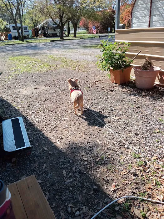 Abc RV Park Picture 3