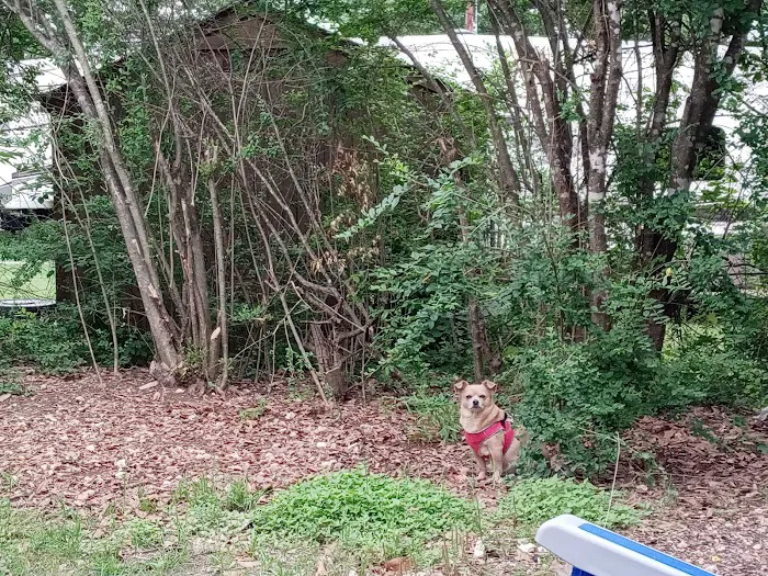 Abc RV Park Picture 4