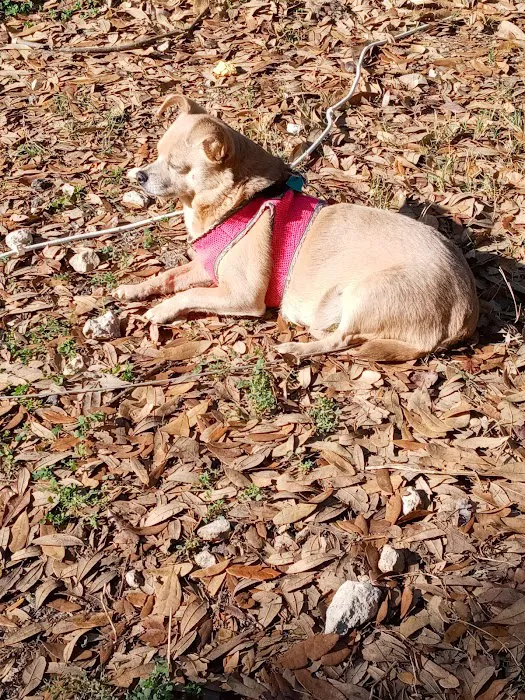 Abc RV Park Picture 9