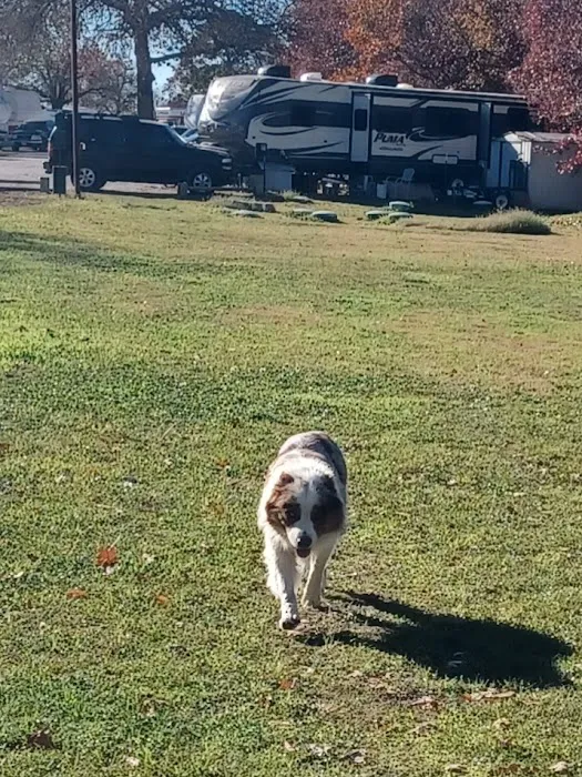 Rock N Robin RV Resort Picture 2