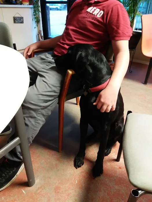 Rock N Robin RV Resort Picture 10