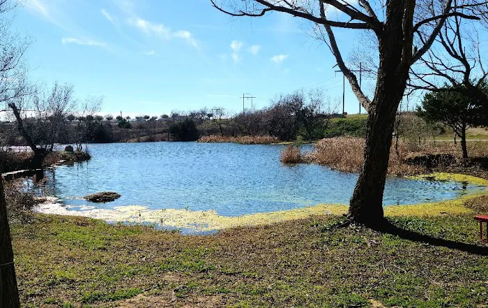 Lake Posada RV Park Picture 6