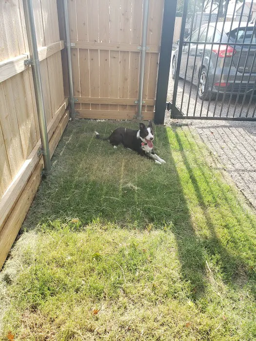 Lavon Luxury RV Village Picture 7