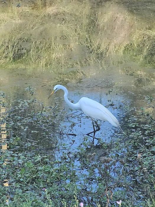 Dallas Rockwall RV PARK & Tiny Home Community Picture 9