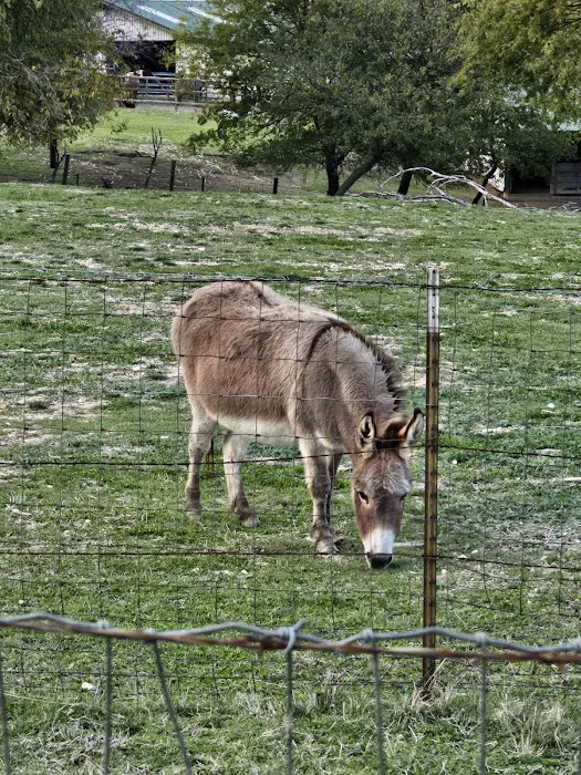 Dallas Rockwall RV PARK & Tiny Home Community Picture 8