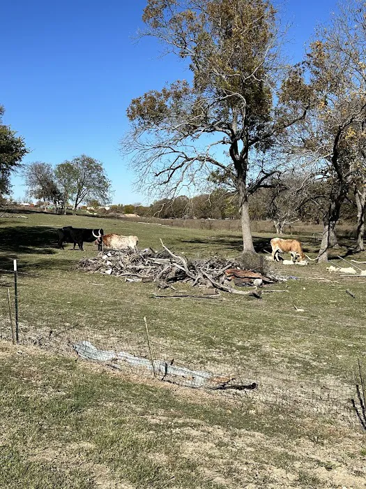 Dallas Rockwall RV PARK & Tiny Home Community Picture 7