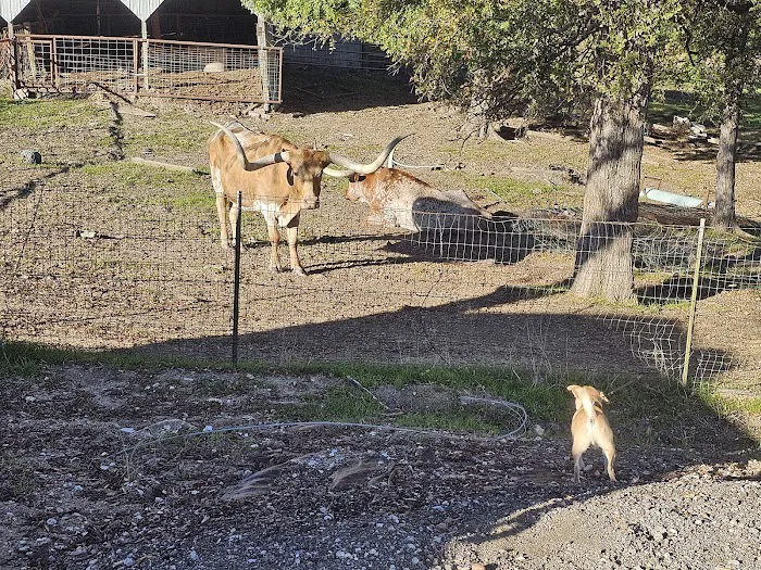 Dallas Rockwall RV PARK & Tiny Home Community Picture 4