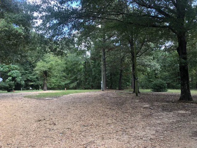 Oak Grove Trailer Court, Star City, AR. 71667 Picture 2