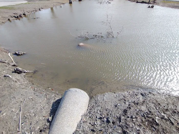 Cameron Prairie RV Park Picture 5