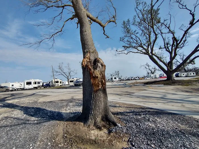 Cameron Prairie RV Park Picture 9