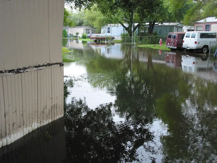 Fountainhead Mobile Home Villa Picture 5