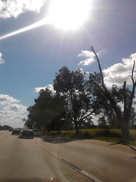 Fountainhead Mobile Home Villa Picture 7