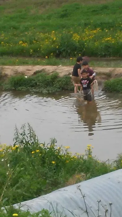 Stafford Mobile Home Park Picture 1