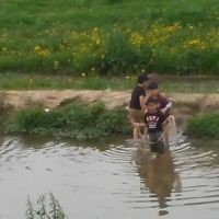 Stafford Mobile Home Park ico