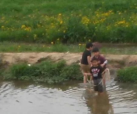 Stafford Mobile Home Park