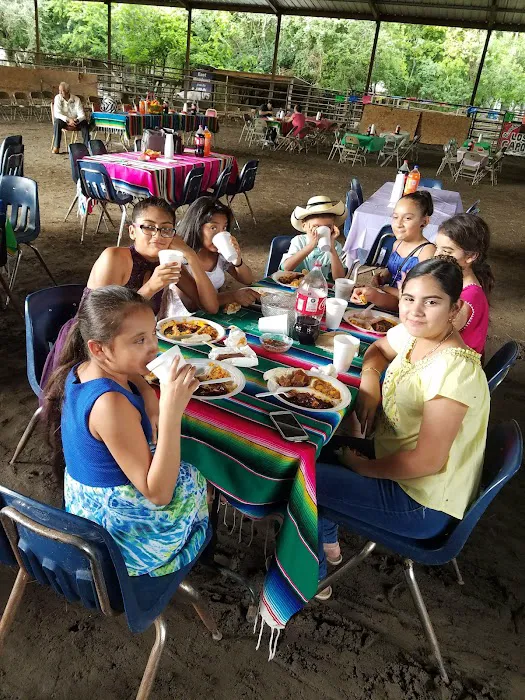 Stafford Mobile Home Park Picture 10