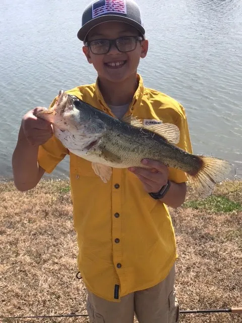 Highway 6 RV Resort by QRV Picture 10