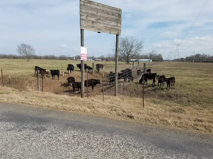 Riverbend RV Park Picture 8