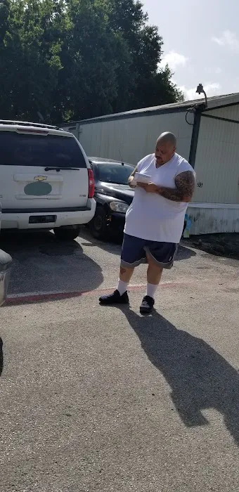 Village at Alvin Picture 9