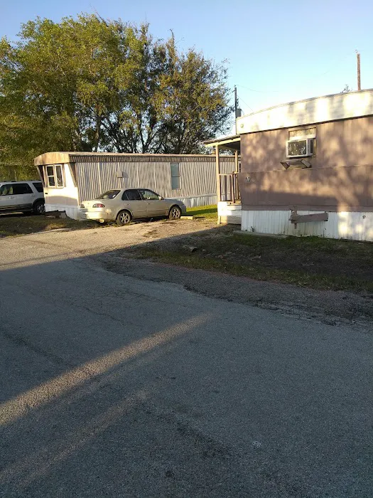 Village at Alvin Picture 7