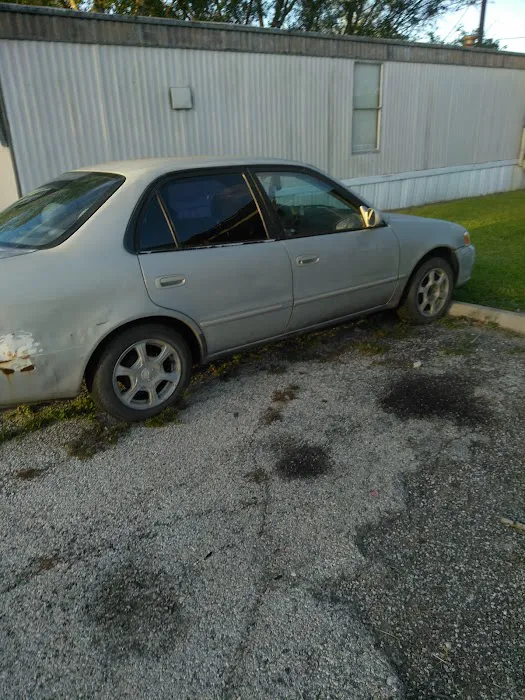 Village at Alvin Picture 6