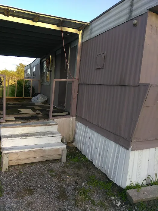 Village at Alvin Picture 2